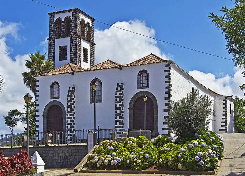 White façade and bell tower of the Church of Santa Catalina in Tacoronte, with flowering hydrangeas