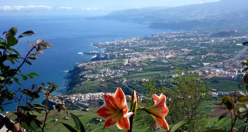 The Orotava Valley seen from above down to the ocean, with red flowers in the foreground