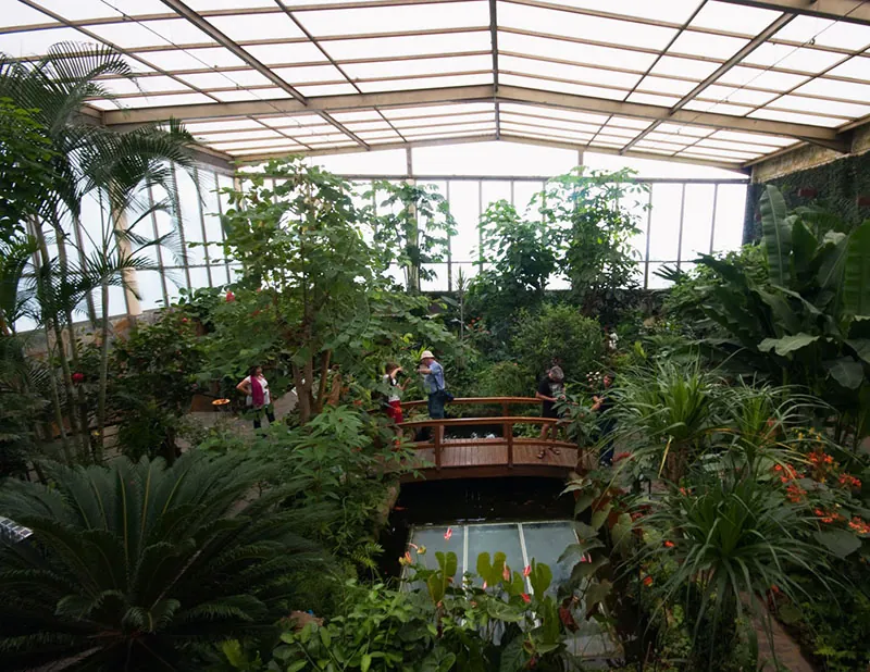 Tropical greenhouse at the Mariposario del Drago, with lush plants, a footbridge and visitors