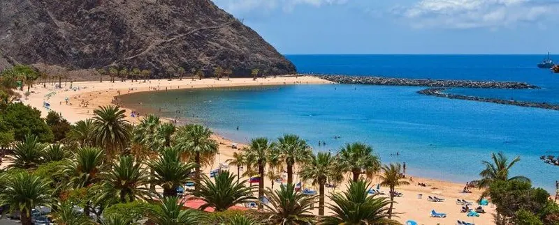 Golden sand, palm grove and turquoise water sheltered by the breakwater at Playa de Las Teresitas