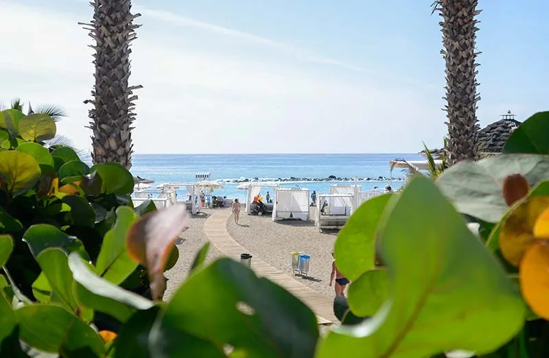 Palms and large leaves frame the canopied sunbeds at Playa del Duque