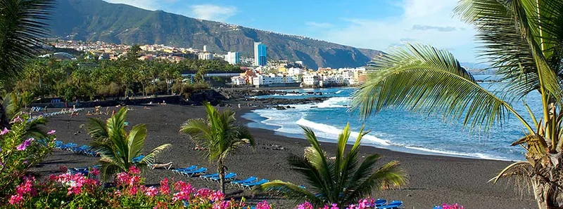 Fuchsia-pink flowers and palms above the black sand of Playa Jardín, with the town behind