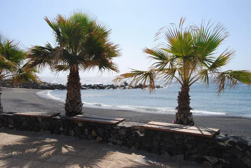 Two palm trees and benches on the low stone wall facing Playa de Las Eras
